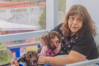 Los encuentros se realizan bajo un estricto protocolo sanitario.